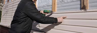 Best Vinyl Siding Installation  in Vero Lake Estates, FL